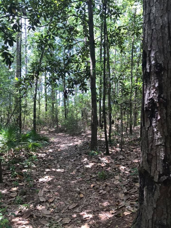 Mississippi Gulf Coast Trails | Heritage Trails Partnership