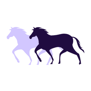 Mississippi Gulf Coast Trails | Heritage Trails Partnership